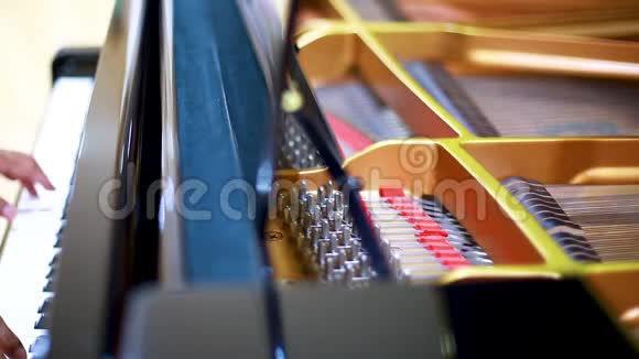 有选择的焦点到一个大钢琴里面用手一架大钢琴的内部显示字符串视频的预览图