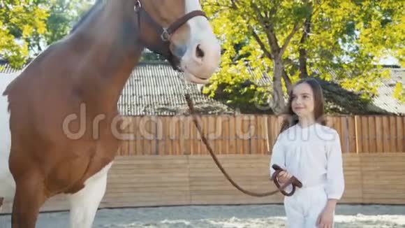 快乐女孩在河马场上抚摸一匹可爱的马的肖像视频的预览图