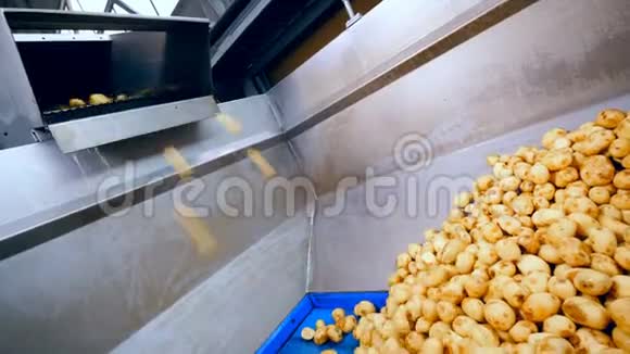 把洗过的土豆掉进容器里视频的预览图