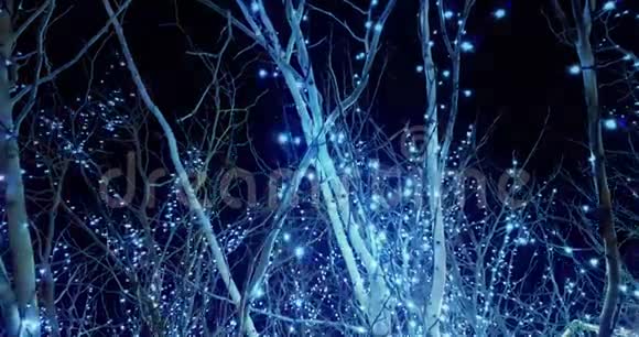 圣诞节和情人节树蓝色闪光灯慢镜头概念视频的预览图