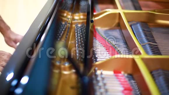 有选择的焦点到一个大钢琴里面用手一架大钢琴的内部显示字符串视频的预览图