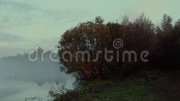 黎明前的湖视频的预览图