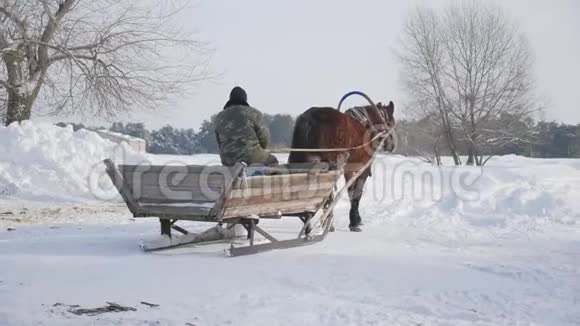 冬天拉雪橇的马旧的冬季交通工具艰苦工作动物的概念坐在木车里的人视频的预览图