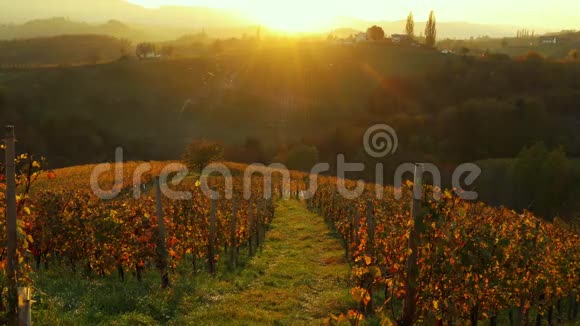 意大利托斯卡纳中部有秋天葡萄园和田地的农业景观视频的预览图