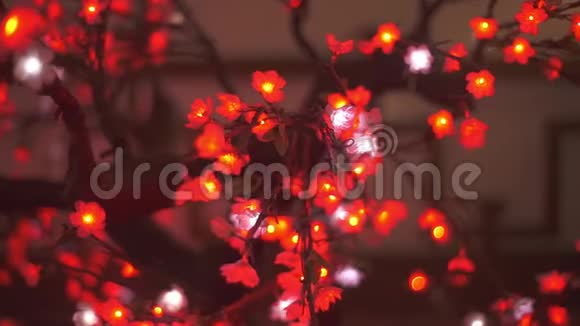背景模糊的红樱花树影视频的预览图