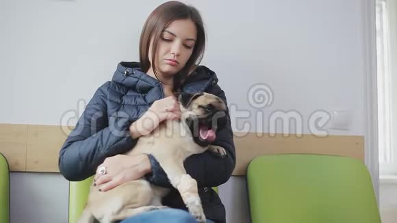 病犬在兽医诊所排队用带绷带的爪子啄食女孩把生病的狗抱在怀里视频的预览图