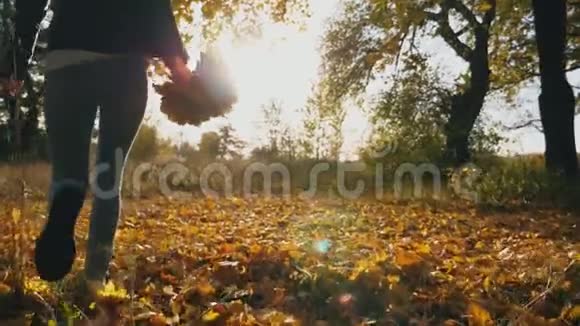 年轻的女人手里拿着一束黄色的枫叶穿过秋天的公园女孩玩得五彩缤纷视频的预览图