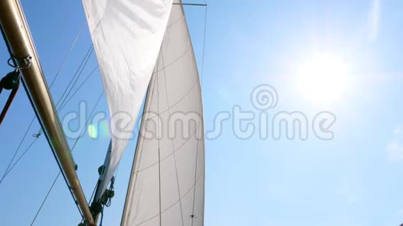 在阳光明媚的夏日白帆游艇视频的预览图