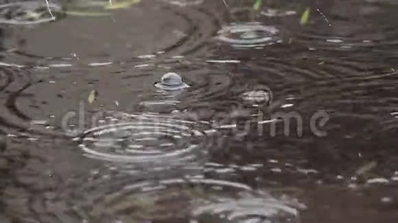 近景镜上雨滴与江景雨景视频的预览图