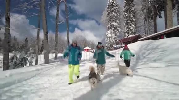 朋友们在滑雪场玩得很开心朋友们和哈士奇一起走幸福和沙哑滑雪场上的哈士奇冬天阳光明媚视频的预览图