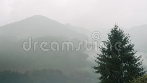 山里的雨视频的预览图