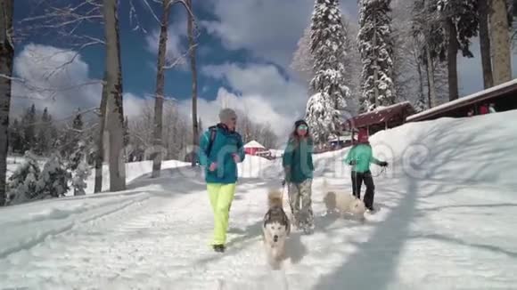 朋友们在滑雪场玩得很开心朋友们和哈士奇一起走幸福和沙哑滑雪场上的哈士奇冬天阳光明媚视频的预览图