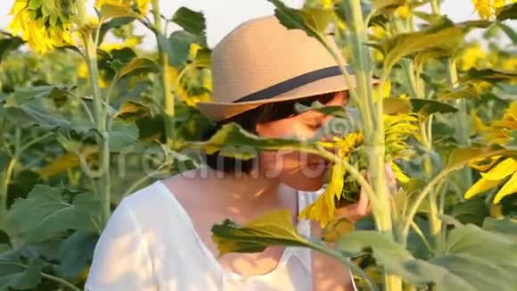 日落时一个穿着白色连衣裙和草帽的年轻女子在田野里触摸向日葵的帽子视频的预览图