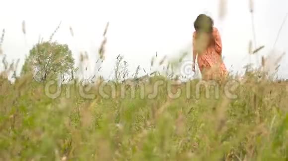 一个美丽的黑发女孩站在高高的草地上慢动作流动的头发视频的预览图