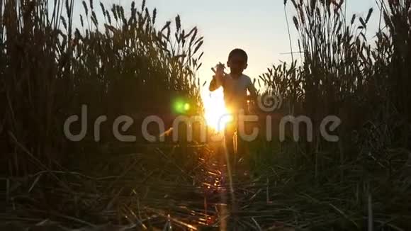 日落时孩子沿着麦田奔跑手里拿着一架玩具飞机孩子的剪影那个男孩视频的预览图