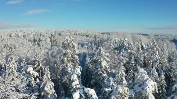 在白雪覆盖的森林上空飞翔白天寒冷的冬天视频的预览图