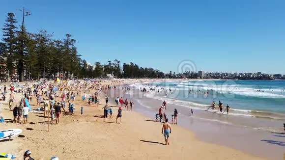 澳大利亚悉尼曼利海滩夏季早晨视频的预览图