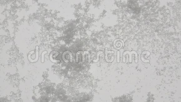 强烈的降雪视频的预览图