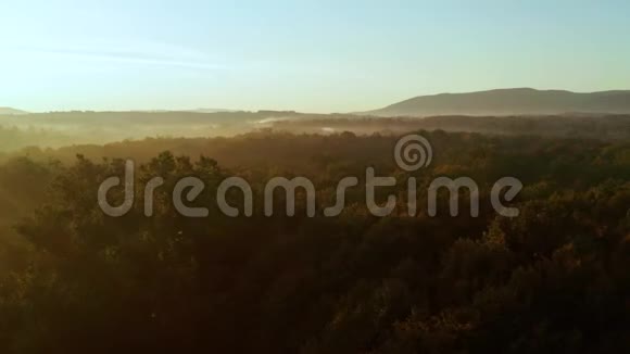 早晨和背景山上美丽的秋树的空中拍摄视频的预览图