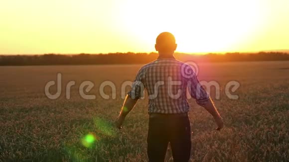 一个年轻的农民站在麦田里看着夕阳挥动着他的手快乐的商人视频的预览图