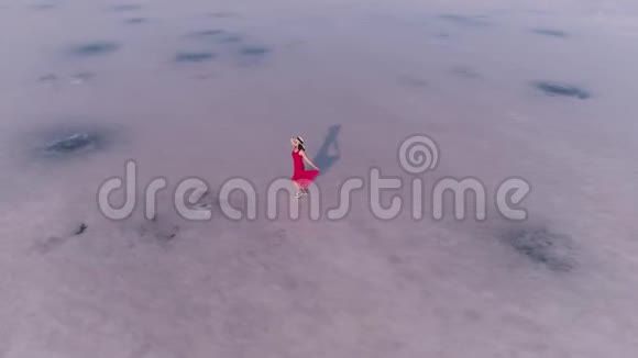 游客在粉红湖上散步空中景色视频的预览图
