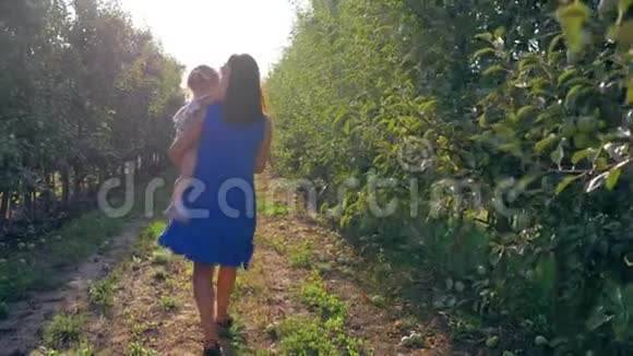 苹果作物年轻的母亲和小女孩在秋天的果园里收获在一排排的树木之间光线充足视频的预览图