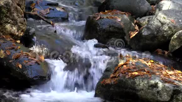 在小溪中的覆叶岩上的水流视频的预览图