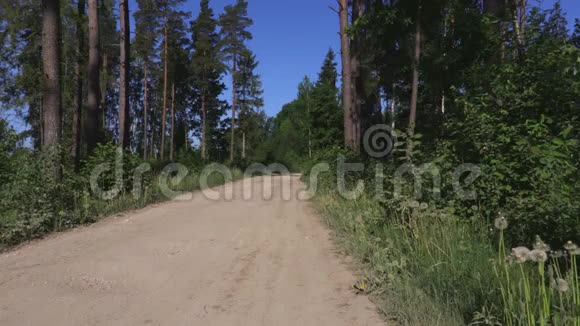 带着背包的女徒步旅行者和北欧两极在森林道路上漫步视频的预览图