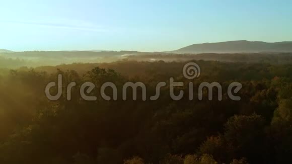 早晨和背景山上美丽的秋树的空中拍摄视频的预览图