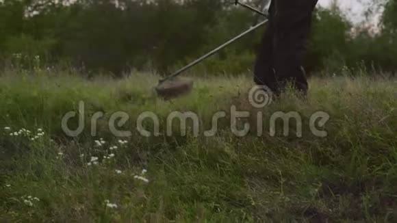 刈割青草的过程视频的预览图