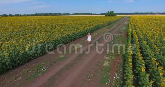 穿着白色短裙的漂亮卷发的布鲁内特女孩在两片向日葵图案的田野的乡间小路上散步视频的预览图