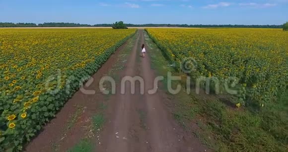 穿着白色短裙的漂亮卷发的布鲁内特女孩在两片向日葵图案的田野的乡间小路上散步视频的预览图