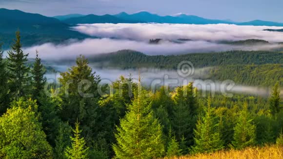 雾蒙蒙的夏日山上的奇妙日出视频的预览图