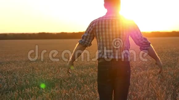 一位年轻的准农穿着格子衬衫在麦田里双手伸向两边看着田野视频的预览图