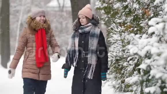 两个女孩在冬天散步互相交谈讨论一些事情视频的预览图