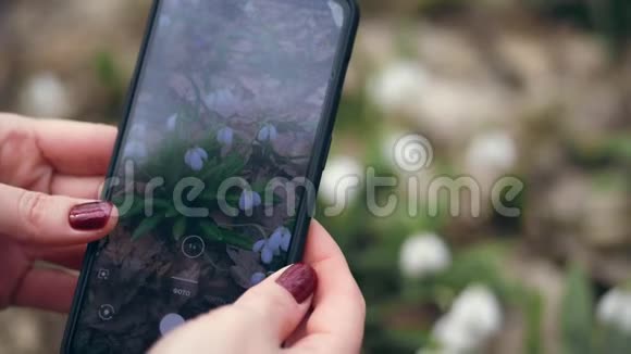 特写镜头女性手拍照在手机上拍摄视频一个小玩意白色的小花蕾雪滴进来视频的预览图