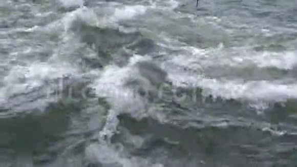 强大的水流在山河与泡沫和清澈的水特写视频的预览图