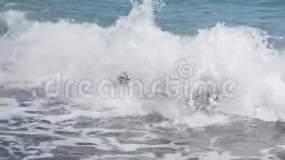 宝贝在海滩上在海浪中戴着黑色眼镜的小男孩在海浪下潜水视频的预览图