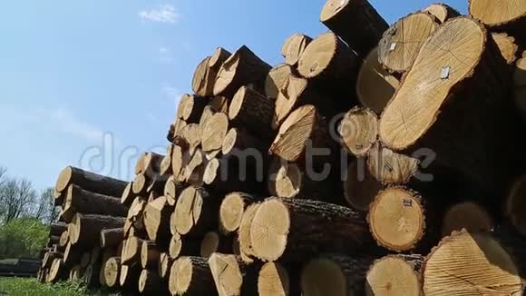 锯木厂的木头视频的预览图