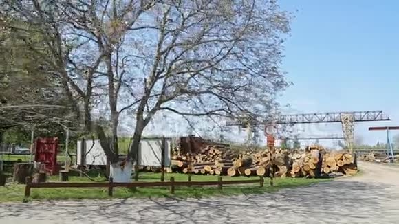 锯木厂里的木头视频的预览图