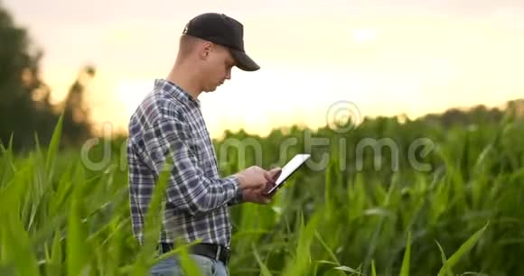 在农业领域使用数字平板电脑的白种人年轻女性的特写视频的预览图