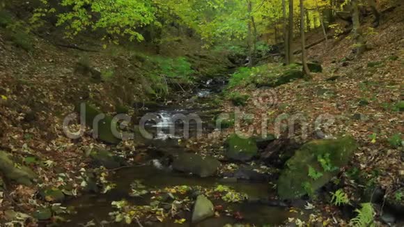 秋天山溪里清澈的水流视频的预览图