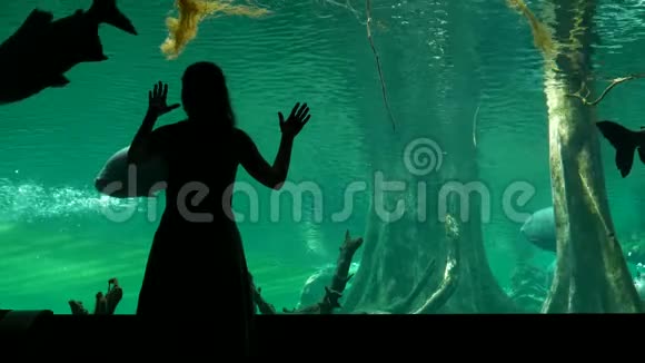 海洋馆的有趣女孩喜欢用玻璃墙在大游泳池里游泳视频的预览图