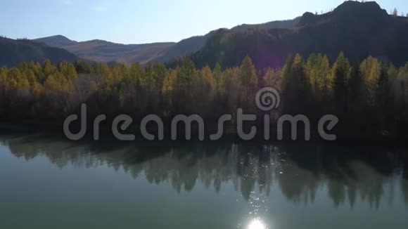 全景拍摄于森林和山脉的河流上空阿尔泰地区西伯利亚视频的预览图