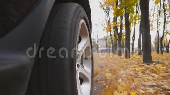 从强大的SUV后轮行驶在公园道路上的黄叶在阳光明媚的日子五彩缤纷的秋叶视频的预览图