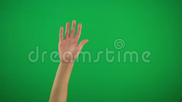 人右手掌向上抬起在绿色屏幕Alpha通道上向右和左移动键入绿色屏幕视频的预览图