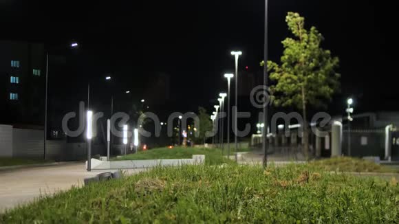 城市公园晚上被灯笼照亮库存录像绿草如茵树在城市公园的微风中摇曳视频的预览图