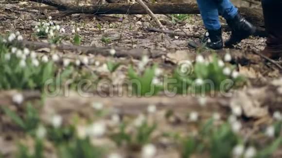 特写镜头在春天的森林里在雪地里穿着靴子走路的女腿穿着靴子的少年一家人散步视频的预览图