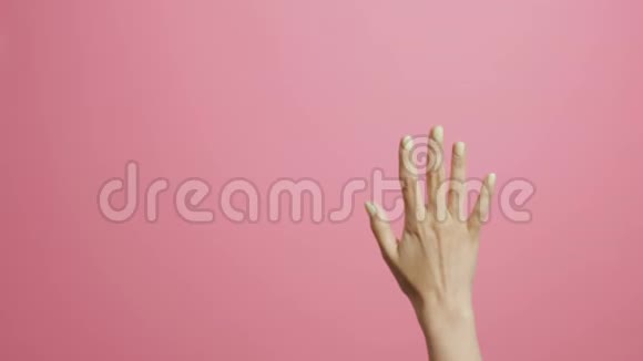 在粉色画室背景下女性的手数从1到5女孩用手指显示数字视频的预览图