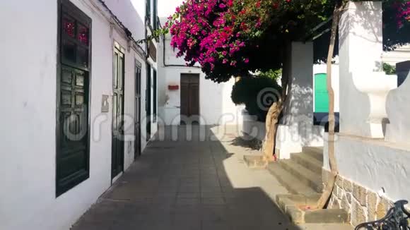 西班牙加那利群岛哈利亚兰萨罗特的典型街道和传统建筑建筑视频的预览图